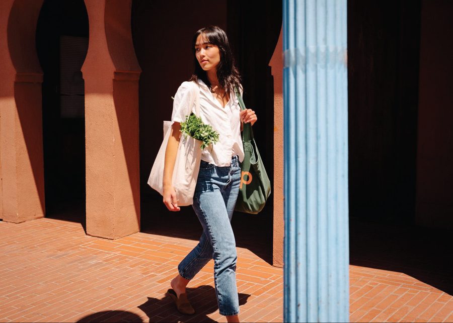 Grocery shopper